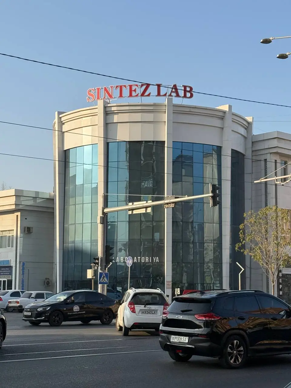 Sintez Lab Klinikasi